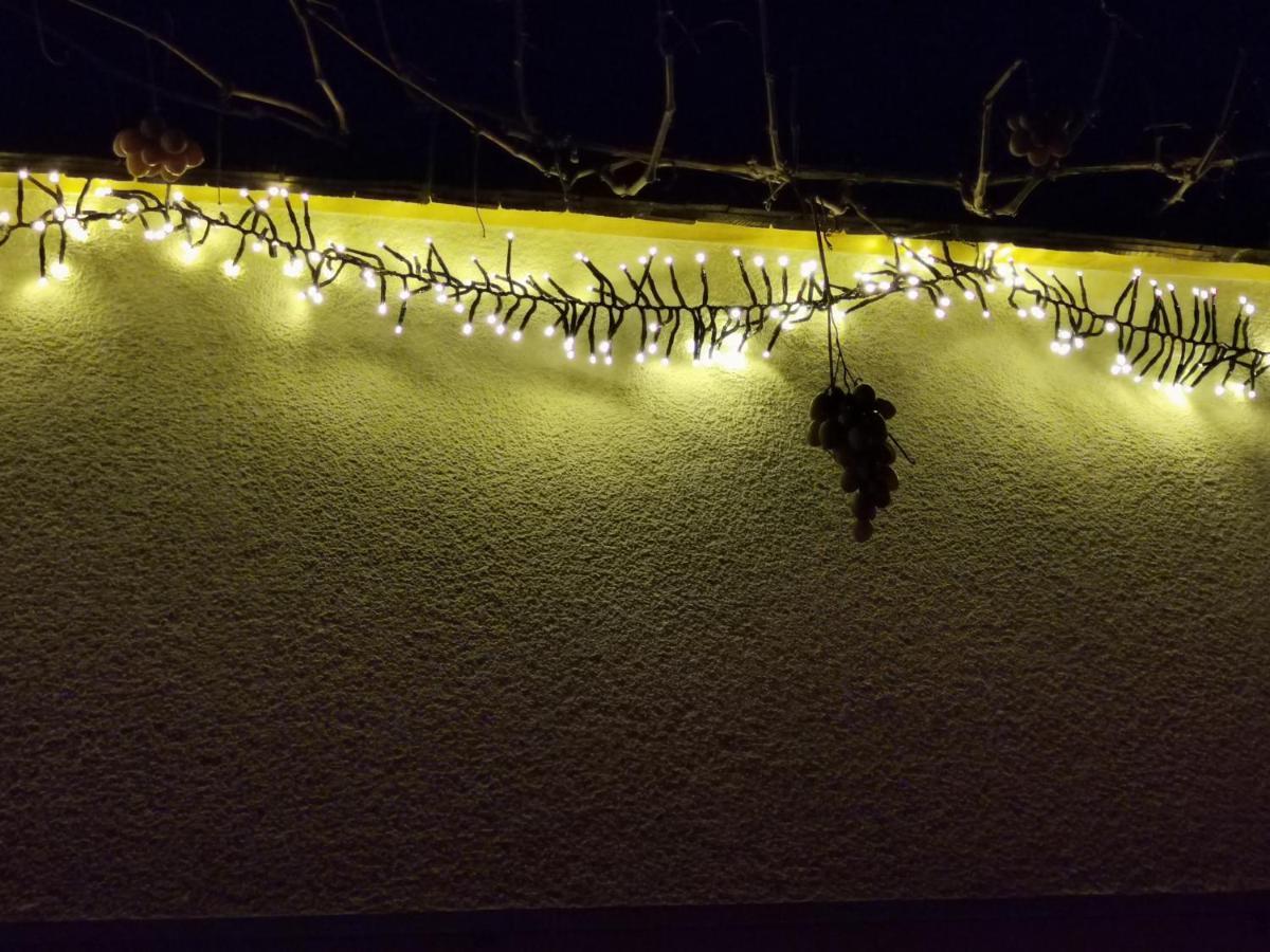 בצאו Ferienwohnung An Der Alten Saege מראה חיצוני תמונה