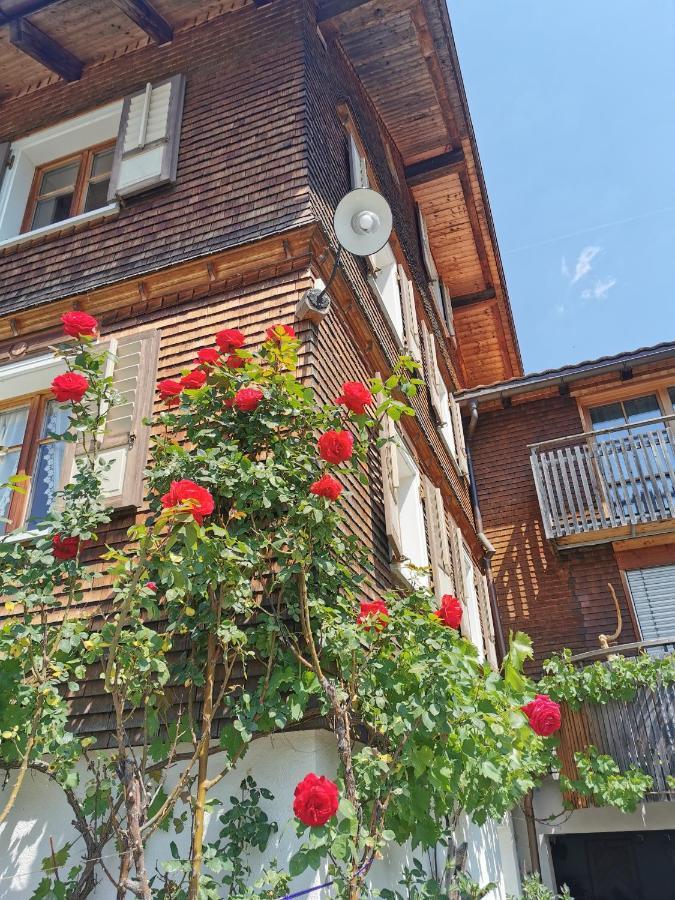בצאו Ferienwohnung An Der Alten Saege מראה חיצוני תמונה